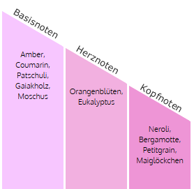LEGNI & FIORI ARANCIO  Millefiori Duftdiffuser 250ml, 1 Stück   
